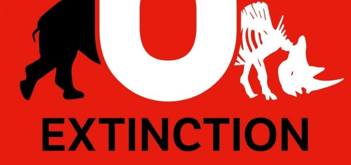 6e extinction - GeekAnimea
